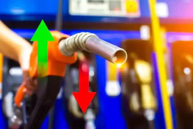 Retail Fuel Margin Forecasting Model screenshot